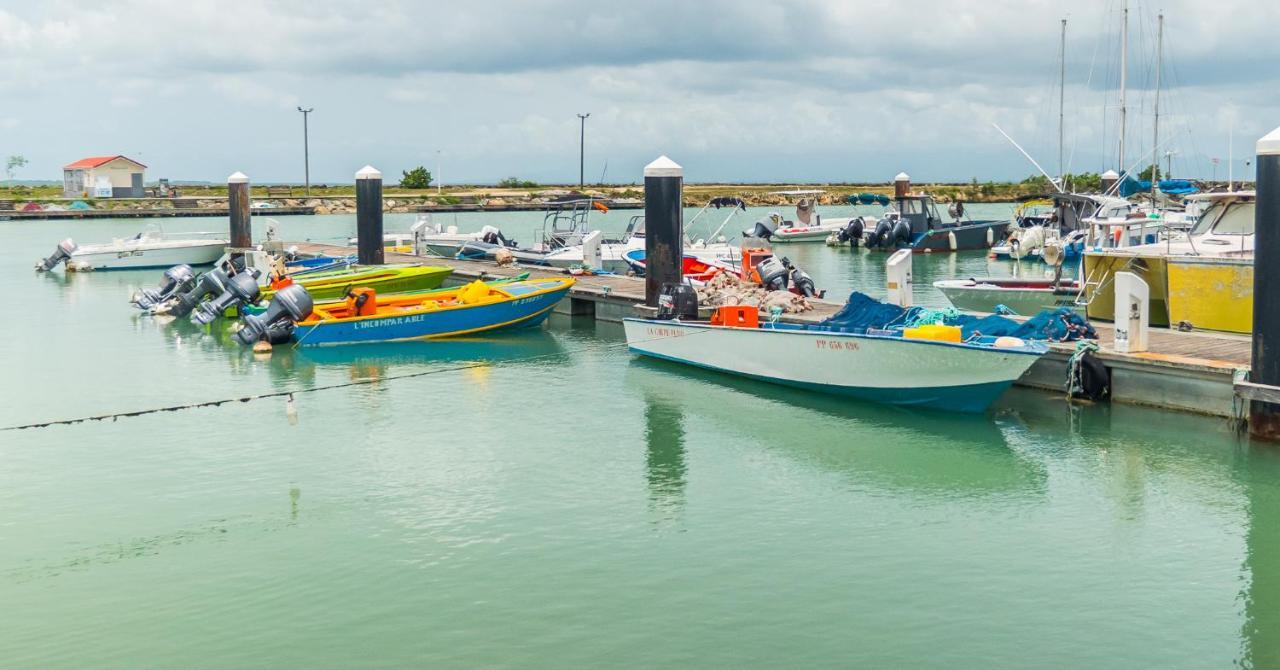 Studio Jacuzzis Et Piscine Au Centre Ville De Port-Louis Exteriér fotografie